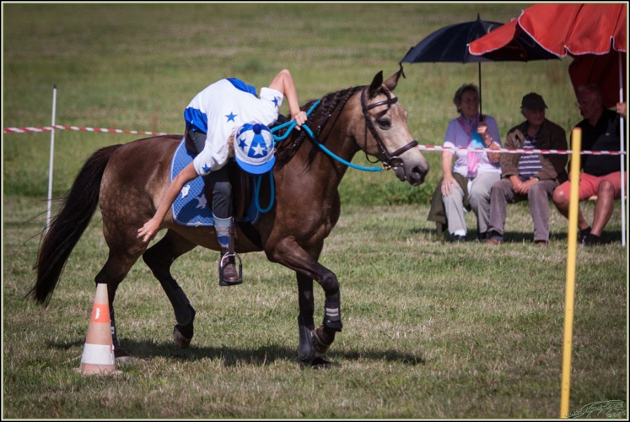 Mounted Games 324